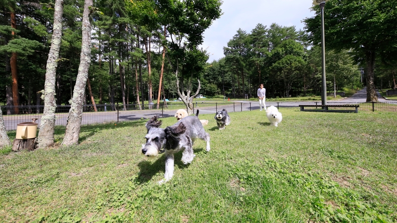 ゆとりろ蓼科ホテルｗｉｔｈＤＯＧＳ